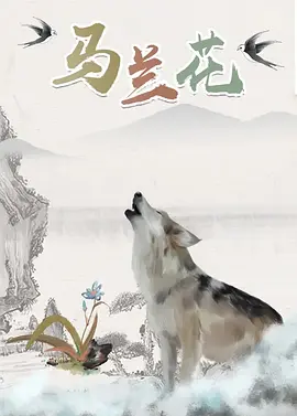 黄页网站视频