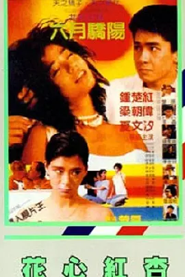 日韩小视频在线播放